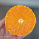 다둥이농장 이미지