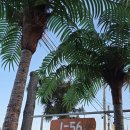 동호사우나 | 양양 오션뷰 펜션 1-56펜션 동호해변 5초 거리 신축 감성 숙소 후기