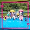 하늘숲펜션 | 전주 근교 완주 동상계곡 평상, 오가네펜션 수영장까지!
