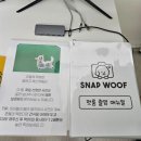 귀엽개 | 🐾 양주 신상 무인 셀프 사진관 스냅우프 사진맛집 강아지 인생샷 건진 후기