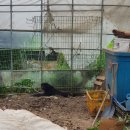 봉농목장 이미지