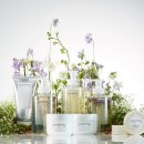 퓨어코스메틱 이미지