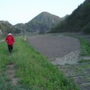 배내미로 이미지