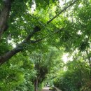 학운공원 쪽 이미지