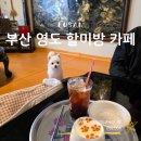 할미방 | 영도 할미방 애견동반 가능 청학동 조용한 카페 추천