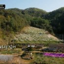 이화펜션 이미지