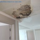 포항시남구33 이미지