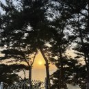 재봉이네수산 | 천북굴단지 1박 2일 여행 : 천북굴단지 맛집 재봉이네 수산 후기!
