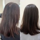 역전포차(조성) | ::신논현미용실:: 신데렐라 클리닉 승아 선생님 후기, '블룸'