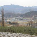 추산초등학교 이미지