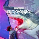 피쉬빌리지수족관 | 고양스타필드 아이와 가볼만한곳 미디어아트 아쿠아카페
