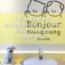 봉쥬르멍멍 이미지