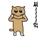 화이트카셀프세차장 네이버블로그