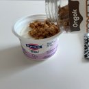 허니고 | 온곡 그래놀라추천 바삭한 허니 그래놀라 요거트 조합 후기