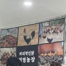 커피먹인닭 | [가평맛집/가평백숙] 커피먹인닭 내돈내산 솔직 후기