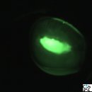 백현 동물병원 이미지