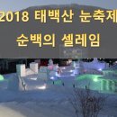 [당일여행]태백 눈꽃축제 (2월 3일 토요일) 이미지