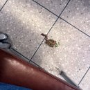 도동탕 | 서울역 후암동 맛집_@도동집 불고기파전&amp;소고기 숙주볶음&amp;꿀토마토&amp;생맥주