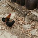 김양원농장 이미지