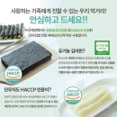 꼬마아닌꼬마김밥