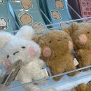 토심 네이버블로그
