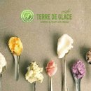 글라스패밀리 이미지