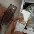 초보 셀프 미용 성공! 털 날림 없는 애완견 흡입 바리깡 내돈내산 급 고퀄리티 애완용바리깡 솔직 후기 ✂️