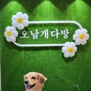 오남개다방