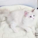 잘나가는멋쟁이