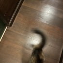 가나호스텔 이미지