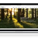 엠토디자인주