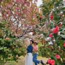 늘푸른전당 이미지