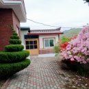 본동민박 이미지