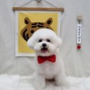 마실오개 이미지