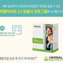 시흥허벌라이프