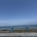 숙성도제주본점 이미지