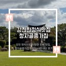 (주)청자골종가집 | 강진 현지인도 인정한 진짜 맛집, 청자골종가집 한정식 내돈내산 후기