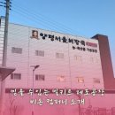 비손컴퍼니