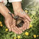 워낭소리 | 워낭소리(줄거리, 관람평, 배경지)