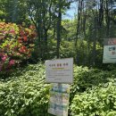 우장산근린공원 | 서울시 우장산 힐링센터 산림치유 무료로 싱잉볼 명상까지