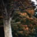 긴머리 소녀 이미지