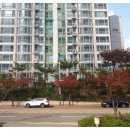 다정한온누리약국 이미지