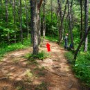 광영 큰골약수터 이미지