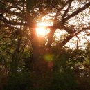 (주)비와이건설 | 오인교의 전라도누정기행-깊은 갈색의 사연 화순 삼지재(三芝齋)