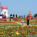 CNN Go가 선정한 한국의 아름다운 섬 33개 이미지