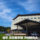 청룡사우나 | 경주 코오롱호텔 2박3일 패밀리프리미어 여행 솔직 후기 수영장 산책로 포함
