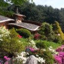 숲속 황토방 펜션 이미지