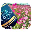 하루산책 | 종로구 한옥 하루 산책 후기