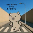 뚝닭 이미지