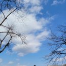 호암생태전시관 화장실 이미지